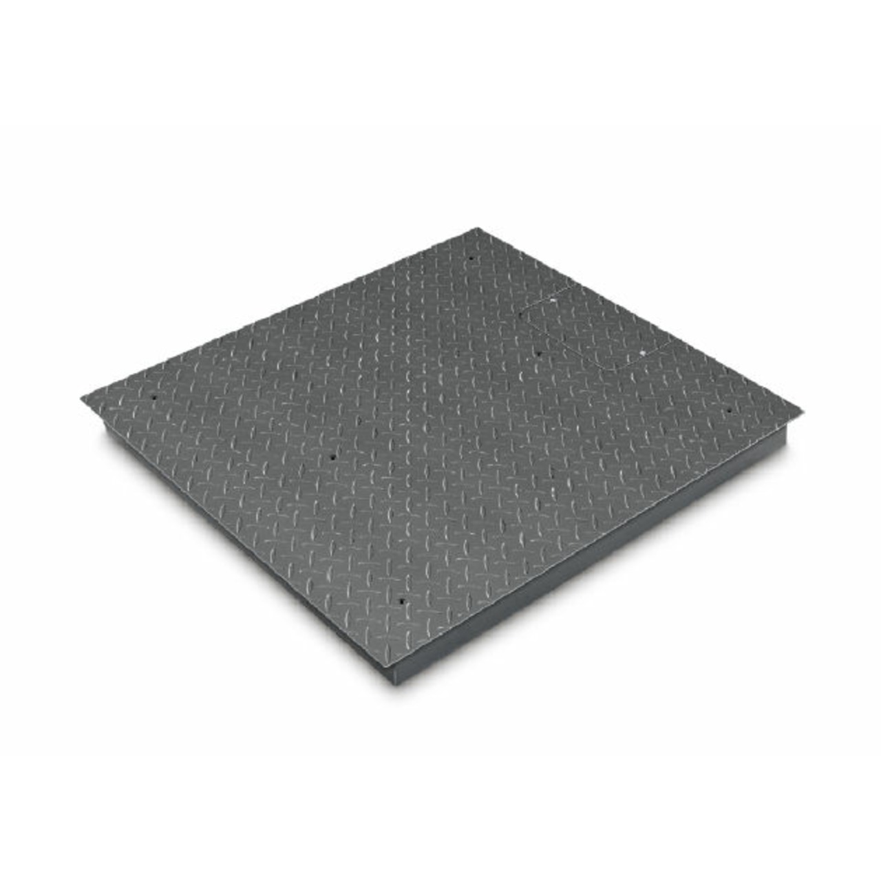 Wägebrücke 1000 g : 3000 kg