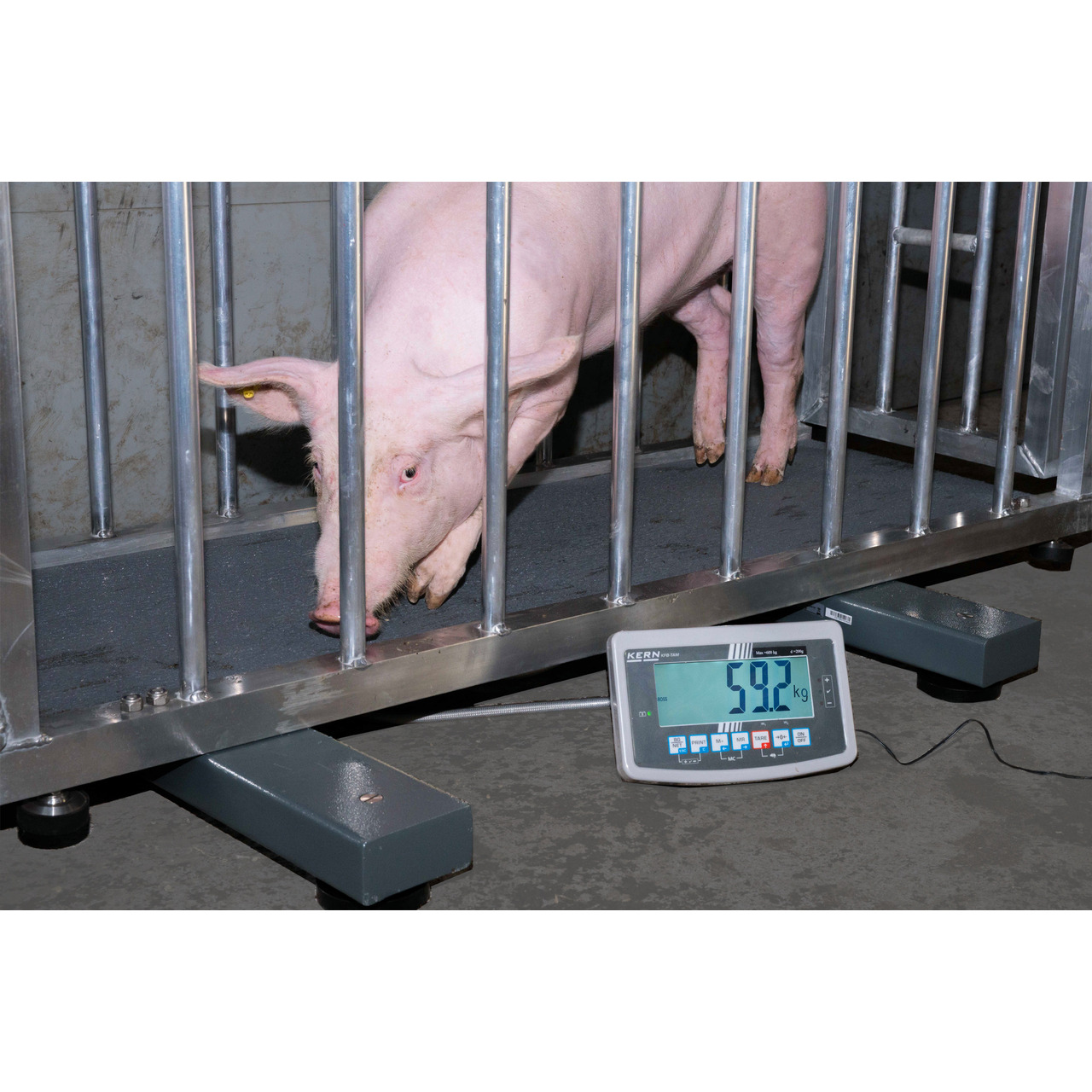 Wiegebalken KERN UFA 600K-1S