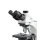 Durchlichtmikroskop Trinokular Inf Plan 4/10/20/40/100: WF10x20: 20W Hal