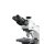 Durchlichtmikroskop Trinokular Inf Plan 4/10/20/40/100: WF10x20: 20W Hal