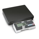 Personal scale 100 g : 300 kg