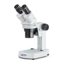 Stereomicroscope Binocular Greenough: 1/2/3x: WF10x20: 0,21W LED