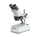 Stereomikroskop Binokular Greenough: 1/3x: WF10x20