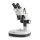 Stereomicroscope Binocular Greenough: 1/3x: HSWF10x23