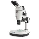 Stereo-Zoom Mikroskop Trinokular Parallel: 0,8-8,0x:...