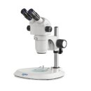 Stereo-Zoom Mikroskop Binokular Greenough: 0,6-5,5x:...