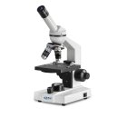 Compound microscope (School) Binocular Achromat 4/10/40:...