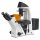 Fluoreszenzmikroskop (Invers) Trinokular Inf Plan 10/20/40/20PH: WF10x22: 30W Hal