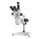 Stereo zoom microscope Trinocular Greenough: 1-4x: WF10x22: 0,35W LED