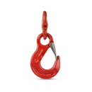 Hook with safety catch, cast steel, galvanised and...