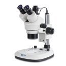 Stereo-Zoom Mikroskop Trinokular (mit Ringbel.)...