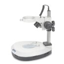 Stereomikroskop-Ständer (Säule, Feintrieb) mit Auflicht und Durchlicht
